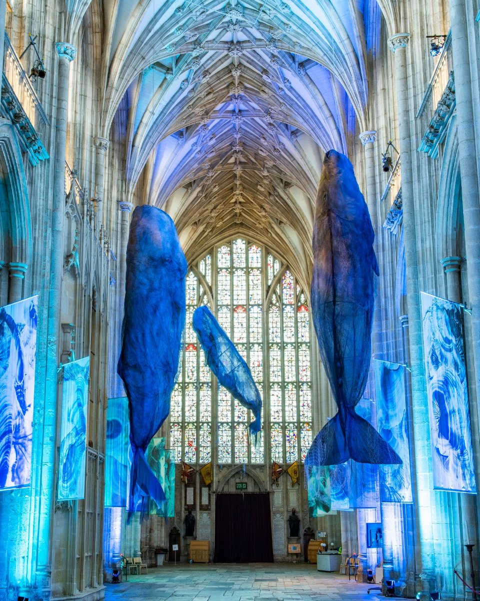 Picture of whales installation hanging in cathedral